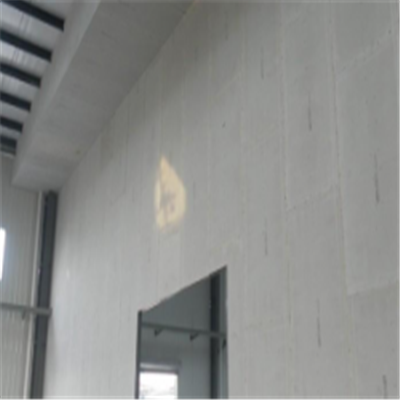 邛崃宁波ALC板|EPS加气板隔墙与混凝土整浇联接的实验研讨
